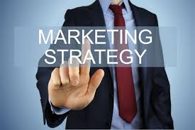Business Insight